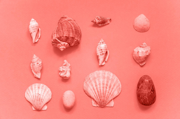 Tropical concept with seashell colored in trendy color of year 2019 Living Coral background. Bright Macro color 16-1546. Vacation travel summer weekend sea adventure trip - Photo, Image