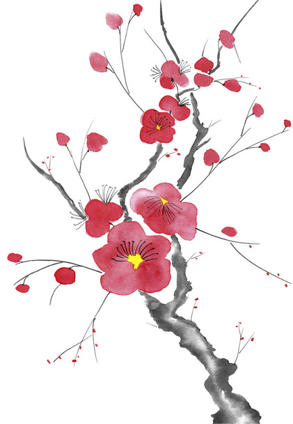 A branch of a blossoming tree. Pink and red stylized flowers of plum mei, wild apricots and sakura . Watercolor and ink illustration in style sumi-e, u-sin. Oriental traditional painting.   - Photo, Image