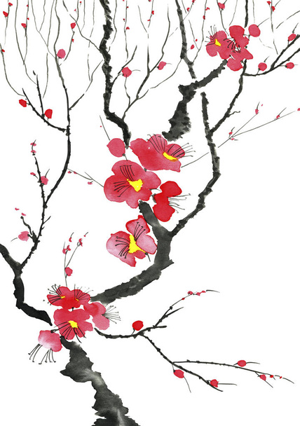 A branch of a blossoming tree. Pink and red stylized flowers of plum mei, wild apricots and sakura . Watercolor and ink illustration in style sumi-e, u-sin. Oriental traditional painting.   - Photo, image