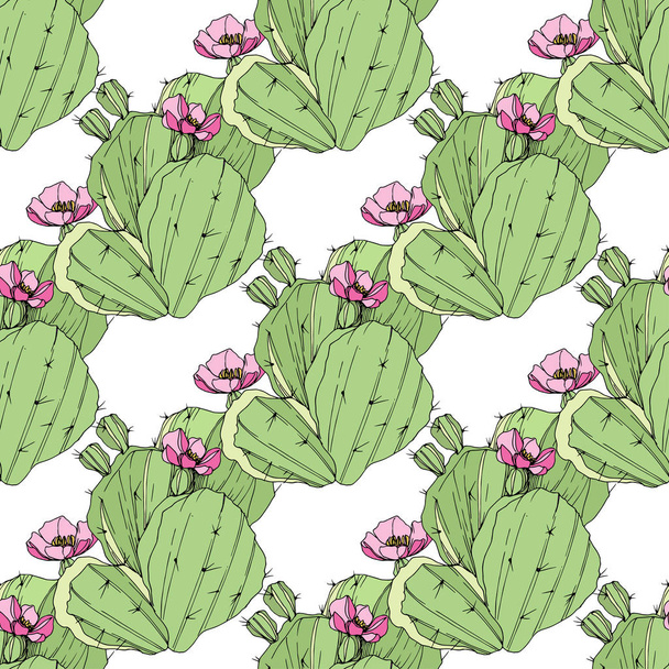 Vector Cacti botanical flower. Green engraved ink art. Seamless background pattern. Fabric wallpaper print texture. - Διάνυσμα, εικόνα