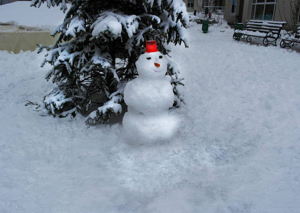 Снеговик с морковкой и красным ведром возле ели
 - Фото, изображение
