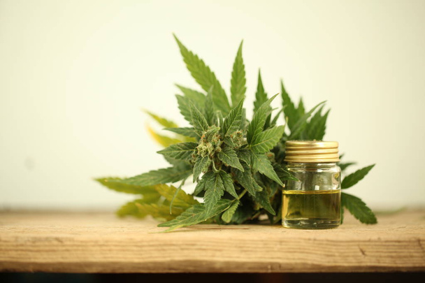 Cannabis olie cbd hennep  - Foto, afbeelding