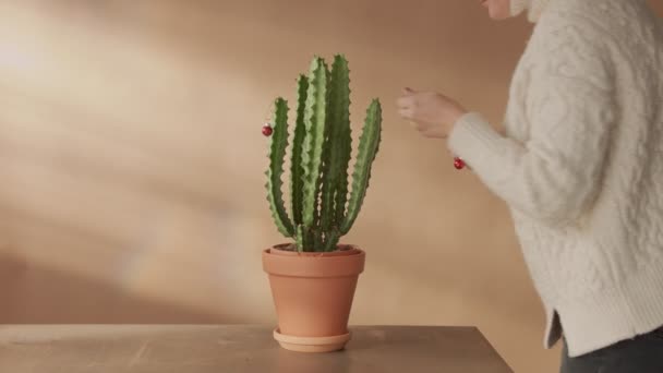 mulher decorar catcus como uma árvore de Natal
 - Filmagem, Vídeo