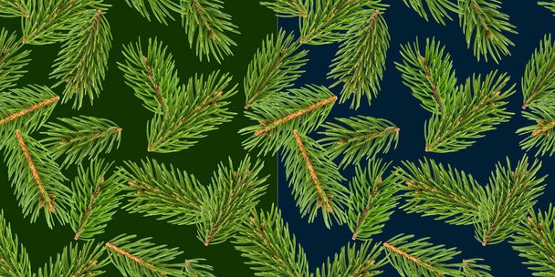 Fir tree branches seamless pattern, pine branch, Christmas conifer isolated on green background - Photo, Image