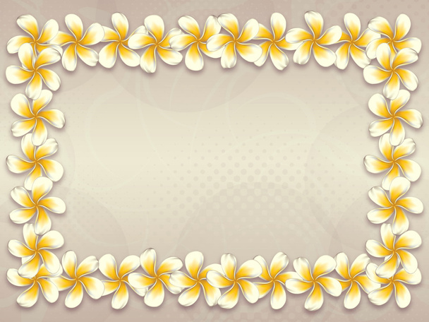 Beyaz plumeria çiçekli çerçeve - Fotoğraf, Görsel