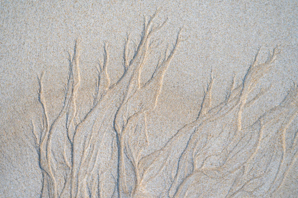 wunderschönes natürliches Texturdesign, das von der Flut am Strand hinterlassen wird - Foto, Bild