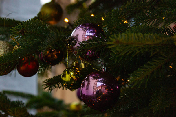 decorated christmas tree branches in south germany advent december month - Photo, Image