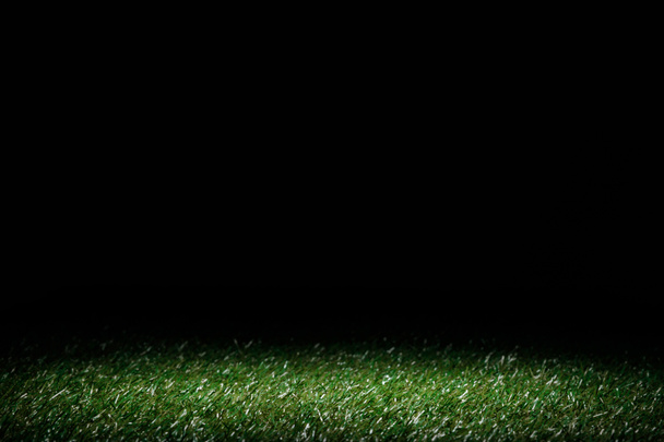 lawn with green grass on black, floral background - Photo, Image
