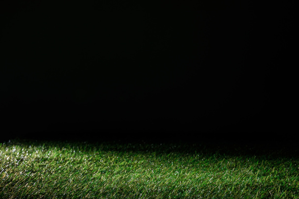 Fußballplatz mit grünem Gras auf schwarzem, blumigem Hintergrund - Foto, Bild