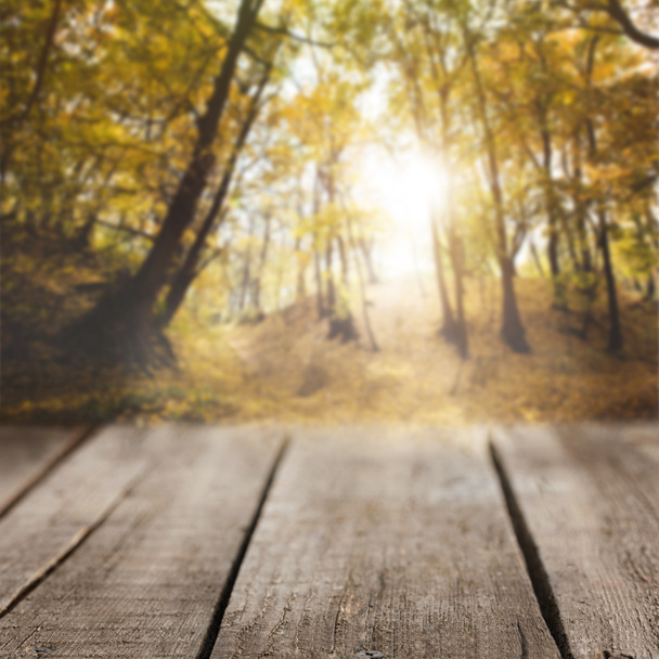 prokládané dřevěné pozadí na krásné podzimní les tapety - Fotografie, Obrázek