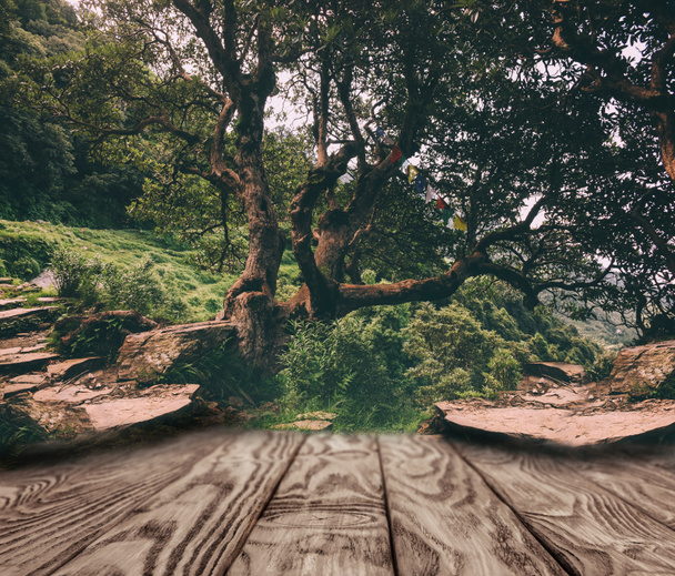 смугастий дерев'яний фон на красивих шпалерах природи
 - Фото, зображення