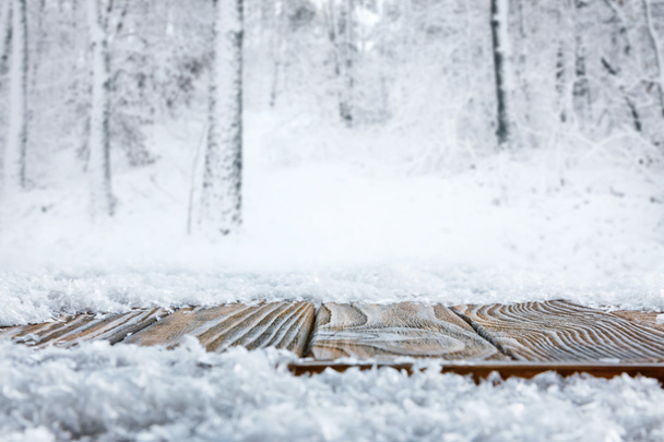 pinta raidallinen ruskea puinen polku ja kaunis talvi metsä
 - Valokuva, kuva