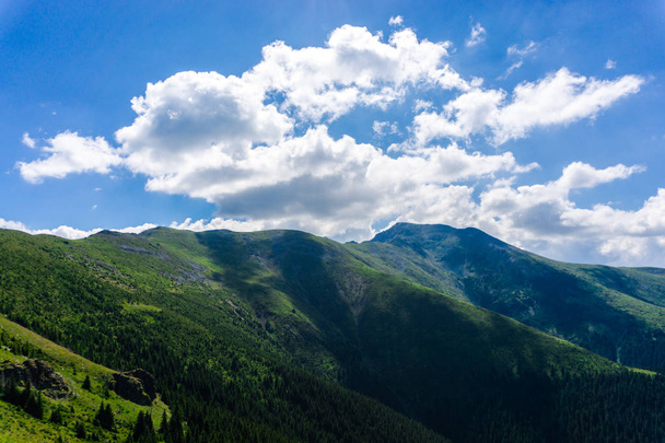 Захоплюючий вигляд на природу з зеленню і блакитним хмарним небом
 - Фото, зображення