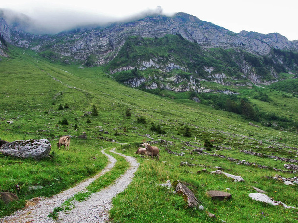Région montagneuse Lutisalp, près du village de Bernhalden - canton de Saint-Gall, Suisse
 - Photo, image