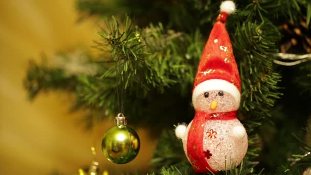 Karácsonyi fenyő, fehér alapon - Felvétel, videó