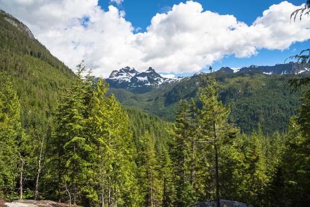 Majestuoso paisaje de montaña boscosa en un soleado día de verano. Squamish, BC, Canadá
. - Foto, Imagen