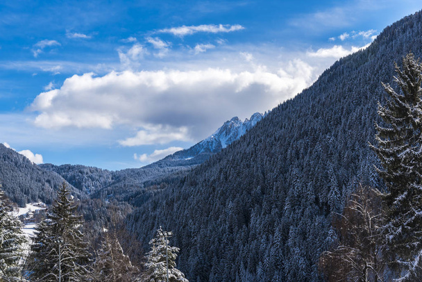 Amazing nature view with snowy trees - Foto, afbeelding