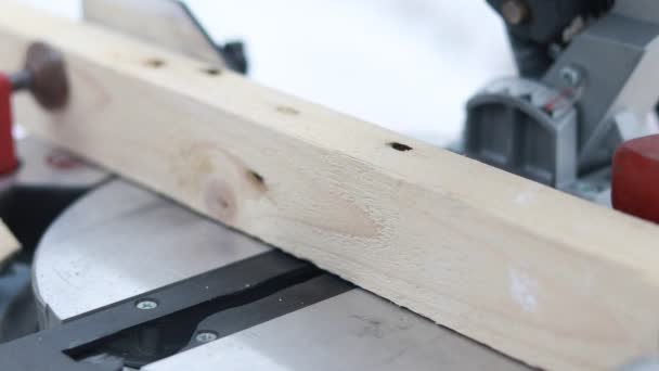 face saw. sawing a piece of wood. close-up. shallow depth of field. - Footage, Video