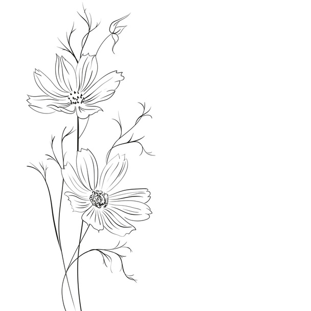 a Buttercup virág - Vektor, kép
