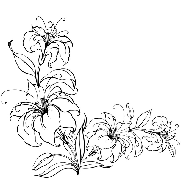 Lily flower - Vector, Image