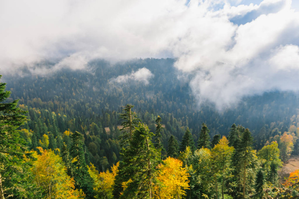 Age-old spruce forest in the mountains. Mountain landscape. Warm autumn Sunny day. The slopes of the mountains covered with autumn woods. Clouds over forest. Top view - Fotó, kép