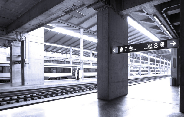 Estación y plataformas ferroviarias
 - Foto, Imagen