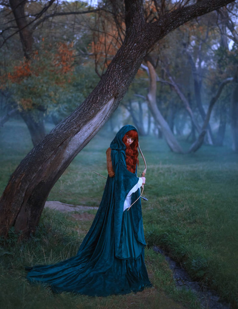 warrior seer flees from captivity, holds bow and arrow in her hands, red-haired curly hair ideally lies on blue velvet cloak, a look that warns the enemy, foreshadows trouble, alone in foggy forest - Foto, Bild