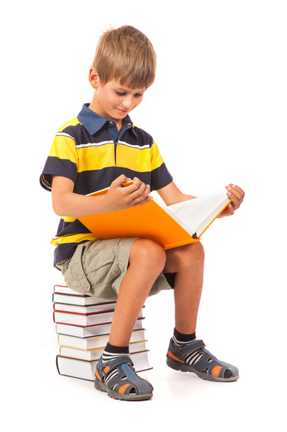 Schoolboy is sitting on books. Back to school - 写真・画像