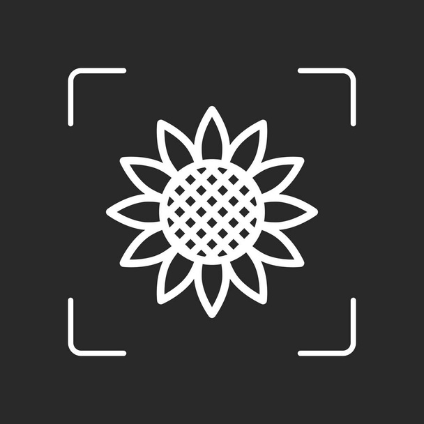 Girasol, planta. Icono de naturaleza. Objeto blanco en el enfoque automático de la cámara sobre fondo oscuro
 - Vector, Imagen