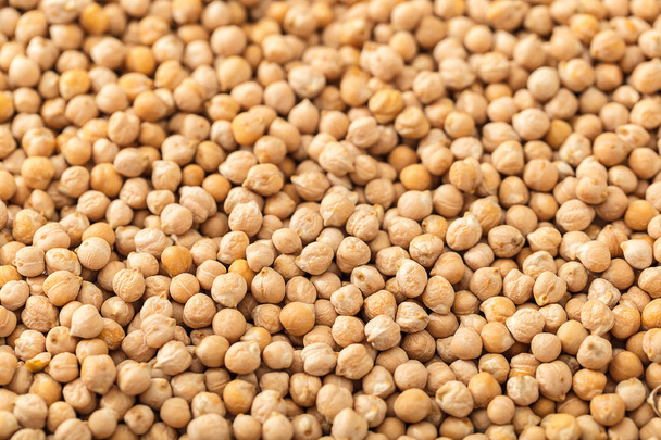 food background from a texture of raw chickpeas close-up - Фото, зображення