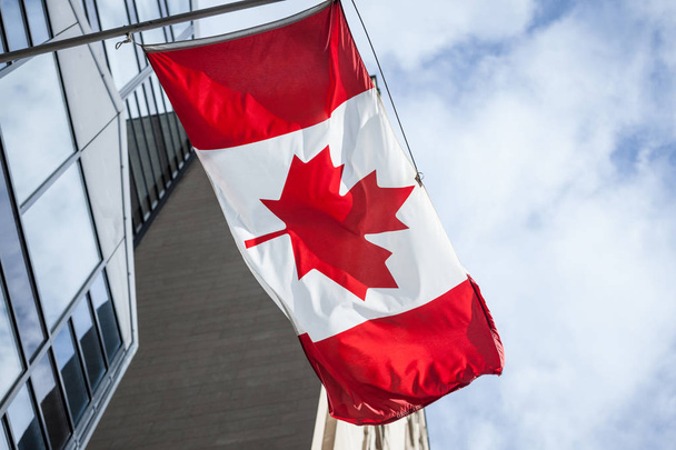 Drapeau canadien devant un immeuble d'affaires à Toronto, Ontario, Canada. Toronto est le plus grand du Canada et l'un des principaux carrefours économiques, politiques et commerciaux de l'Amérique du Nord.
 - Photo, image