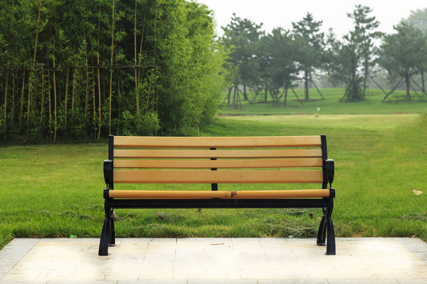 скамейки в парке - Фото, изображение