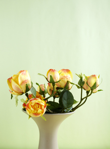 Closeup of roses bouquet on green wall background - Photo, Image