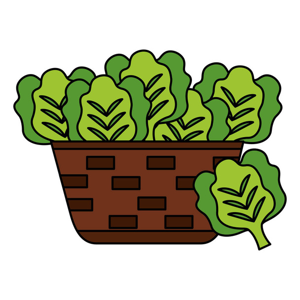 Weidenkorb mit frischem Salat Vektor Illustration - Vektor, Bild