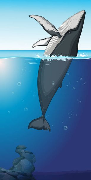 Μια Μεγάπτερος φάλαινα στην απεικόνιση στον ωκεανό - Διάνυσμα, εικόνα