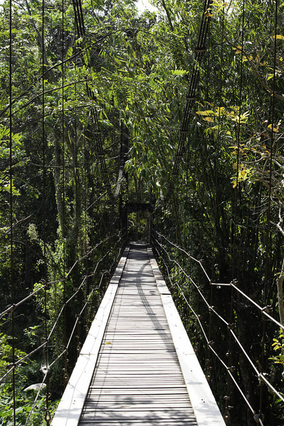 A ponte de madeira através da cachoeira em uma corda de arame inclinada
. - Foto, Imagem