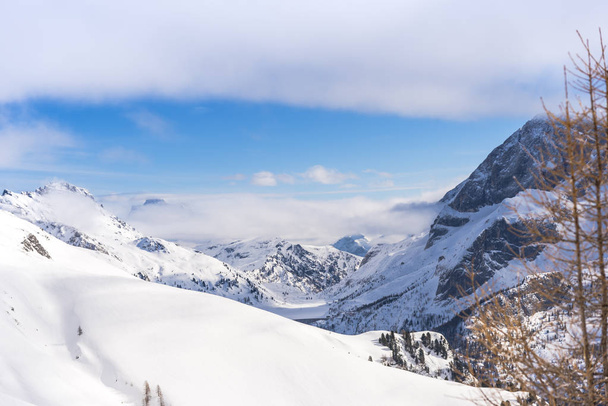 Amazing mountain view covered with fluffy snow - Photo, Image