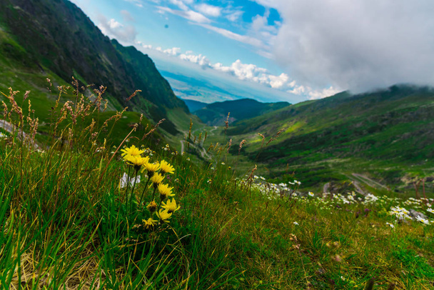 Nature fascinante vue sur la montagne avec verdure et ciel nuageux bleu
 - Photo, image