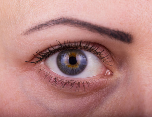 Closeup macro portrait of female face. Human woman eye with day beauty makeup and long natural eyelashes - Valokuva, kuva
