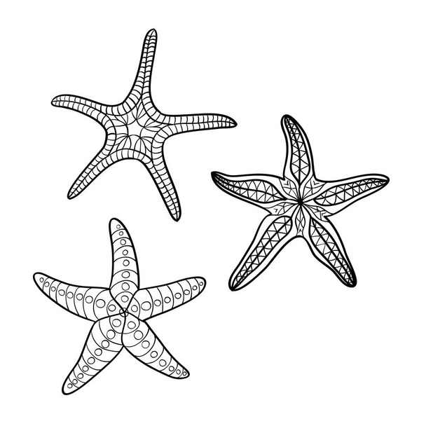 Estrela-do-mar desenhada à mão em contorno preto sobre fundo esbranquiçado
 - Vetor, Imagem
