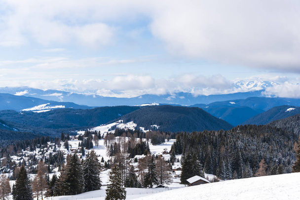 Amazing nature view with snowy trees - Zdjęcie, obraz