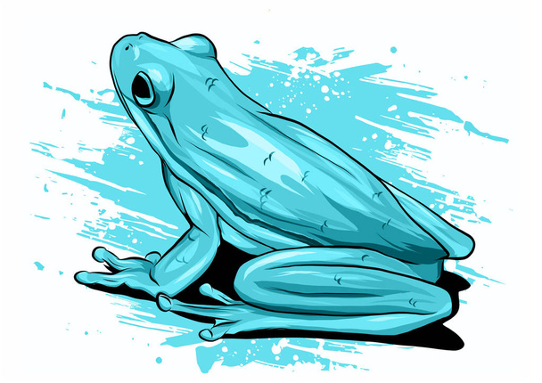 illustartion Green Frog drawing vector - Vector, Image