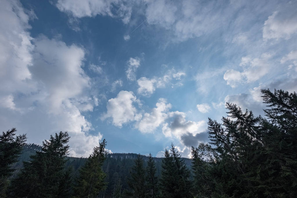 nubes de alto contraste en el cielo azul sobre el paisaje natural en verano al atardecer
 - Foto, Imagen