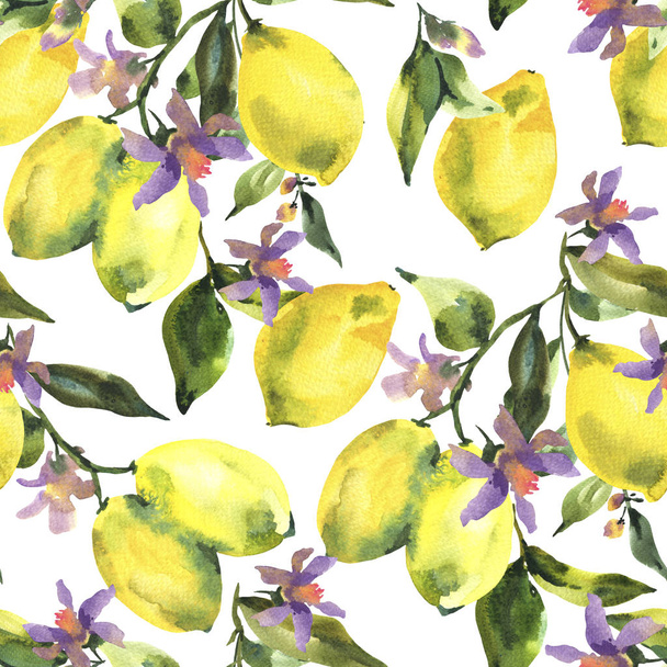 Watercolor seamless pattern with branch of fresh citrus fruit lemon, green leaves and flowers, Natural illustration on white background - Photo, Image