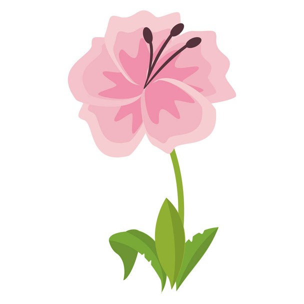 Flower round symbol isolated vector illustration graphic design - Vector, imagen