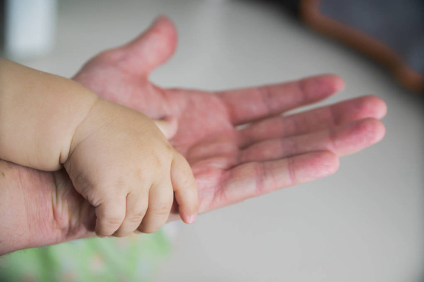 the child's hand in the parent's hand - Valokuva, kuva
