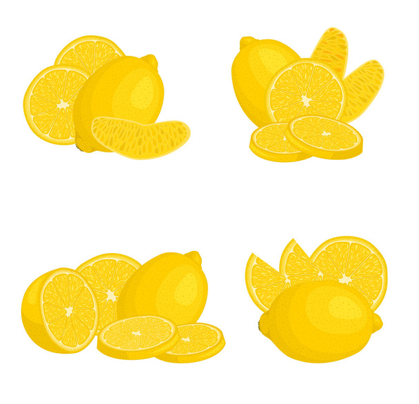Modello vettoriale per la pubblicità al limone. Set di frutti isolati su sfondo bianco
. - Vettoriali, immagini