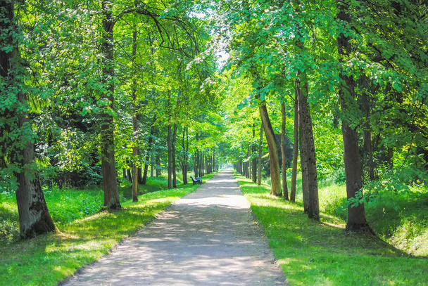 Jarní zelený Park v Oranienbaum (Lomonosov), Petrohrad, Rusko - Fotografie, Obrázek