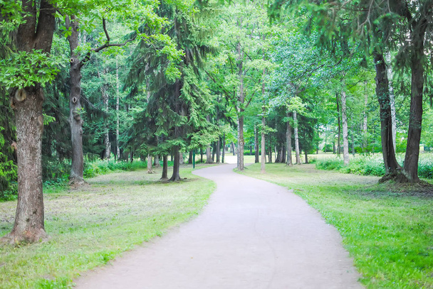 Άνοιξη πράσινο πάρκο στο Oranienbaum (Lomonosov), Αγία Πετρούπολη, Ρωσία - Φωτογραφία, εικόνα