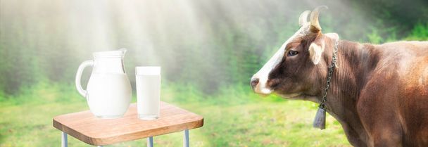Fresh milk on desk and free space for your decoration. Sunlight summer time and rural landscape with farm cow. - Photo, Image
